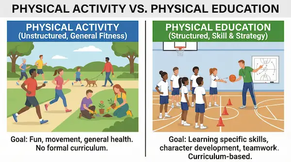 A side-by-side comparison showing unstructured physical activity like walking in a park versus structured physical education with a teacher in a gymnasium