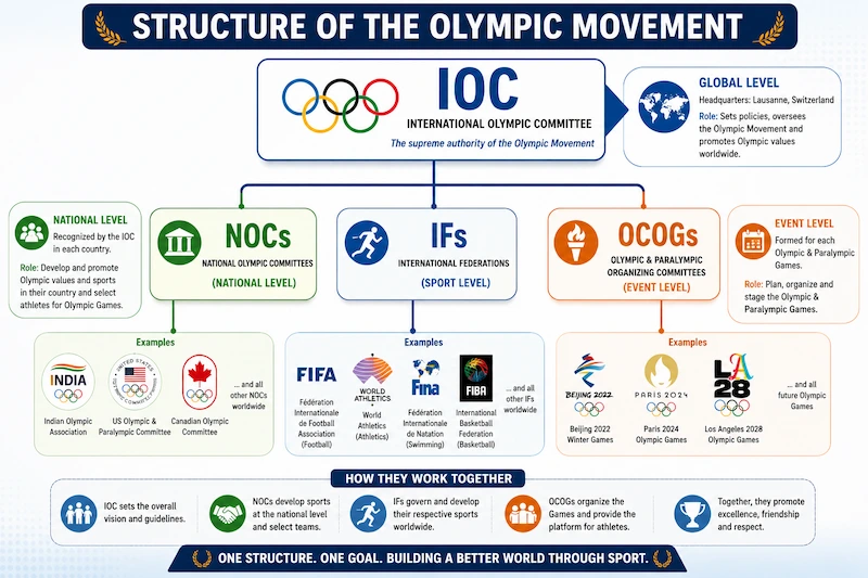 Educational hierarchical flowchart showing the structure of the Olympic Movement with the International Olympic Committee (IOC) at the top, branching into National Olympic Committees (NOCs), International Federations (IFs), and Organising Committees for the Olympic Games (OCOGs).