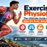 Exercise physiology showing how the body adapts to training through cardiovascular, respiratory, muscular, skeletal, and neural adaptations