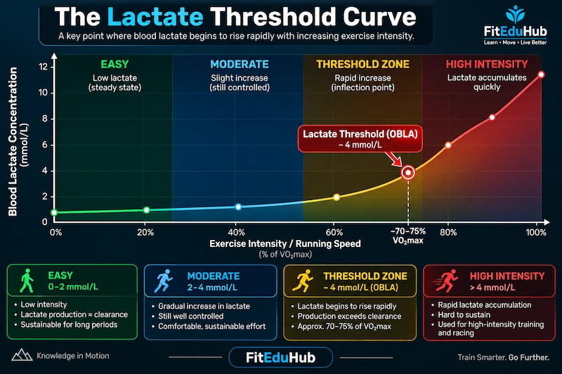Lactate Threshold Curve showing blood lactate concentration rising sharply at the lactate threshold (OBLA) as exercise intensity increases